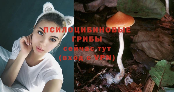 mix Верхний Тагил