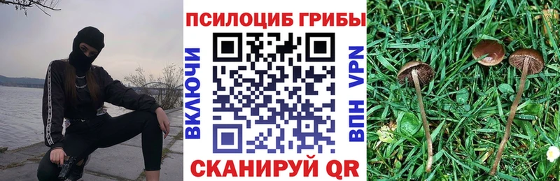 Галлюциногенные грибы ЛСД где найти наркотики Павловский Посад